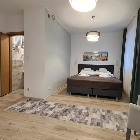 Apartmán Chopina 29 *