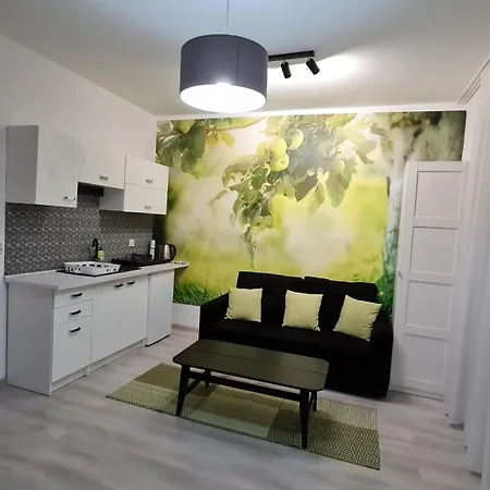 Apartamento Chopina 29
